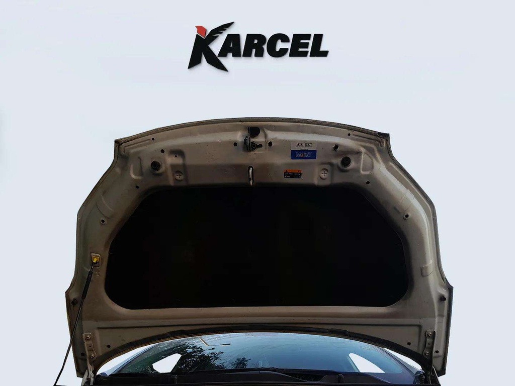 CAR HOOD