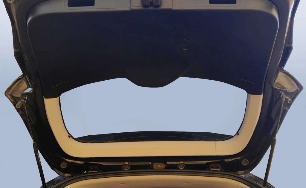 TRUNK HOOD