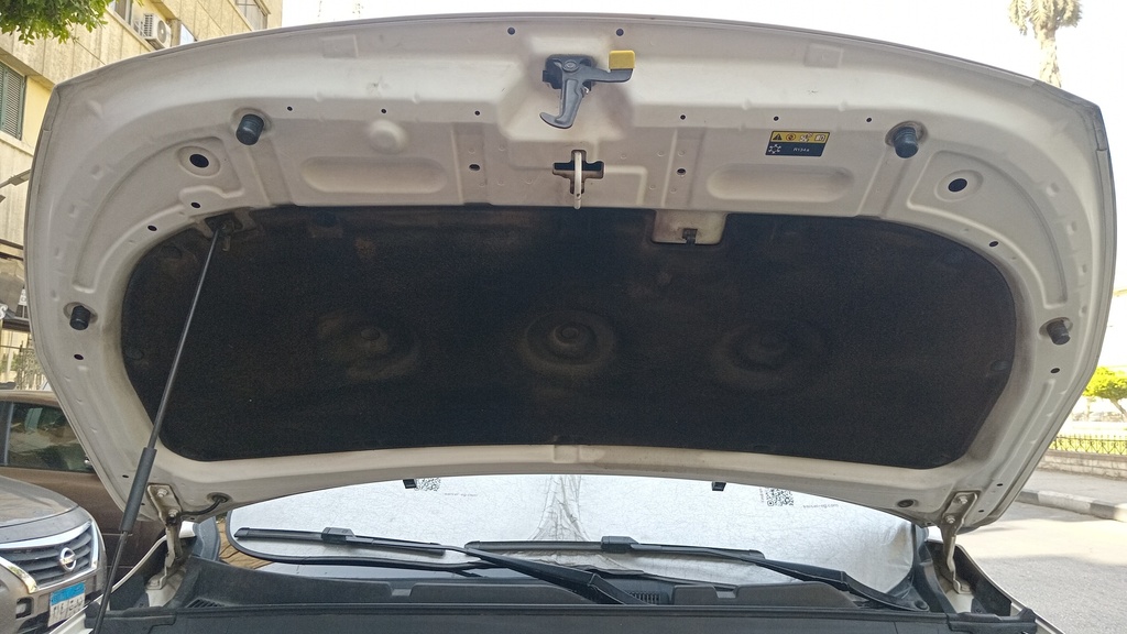 CAR HOOD