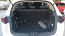 TRUNK