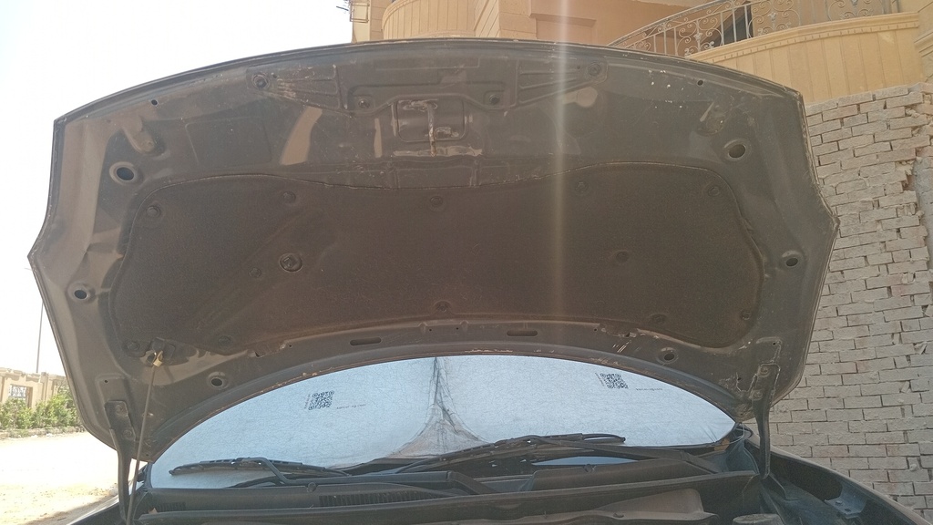 CAR HOOD