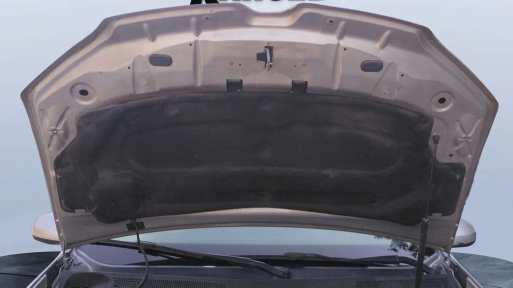 CAR HOOD