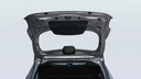 TRUNK HOOD
