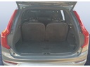 TRUNK