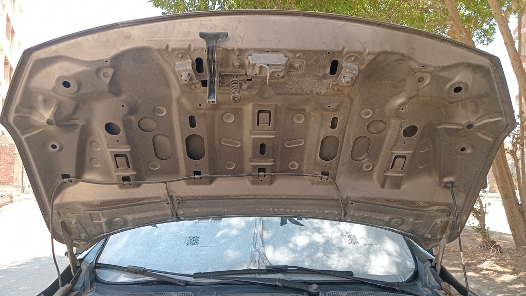 CAR HOOD