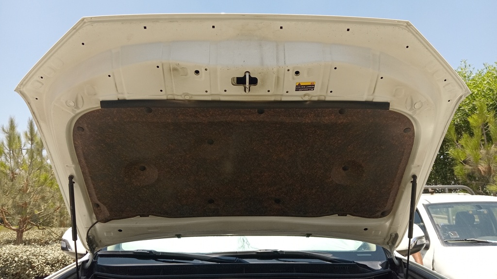 CAR HOOD