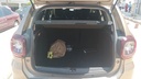 TRUNK