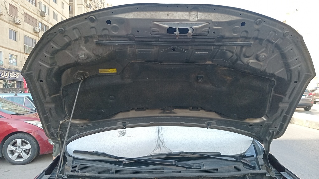 CAR HOOD
