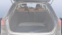 TRUNK