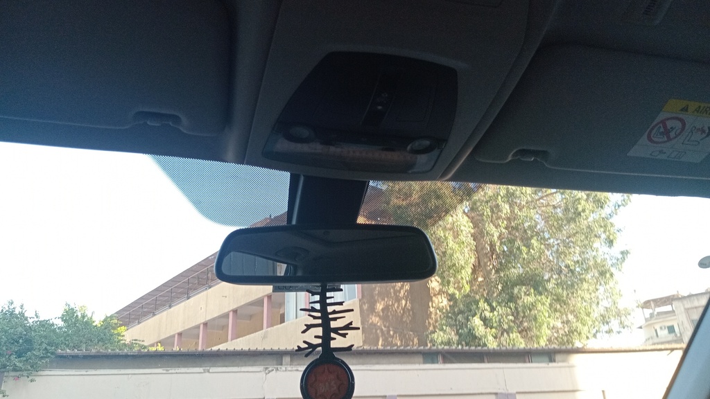 REARVIEW MIRROR