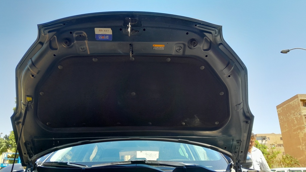 CAR HOOD