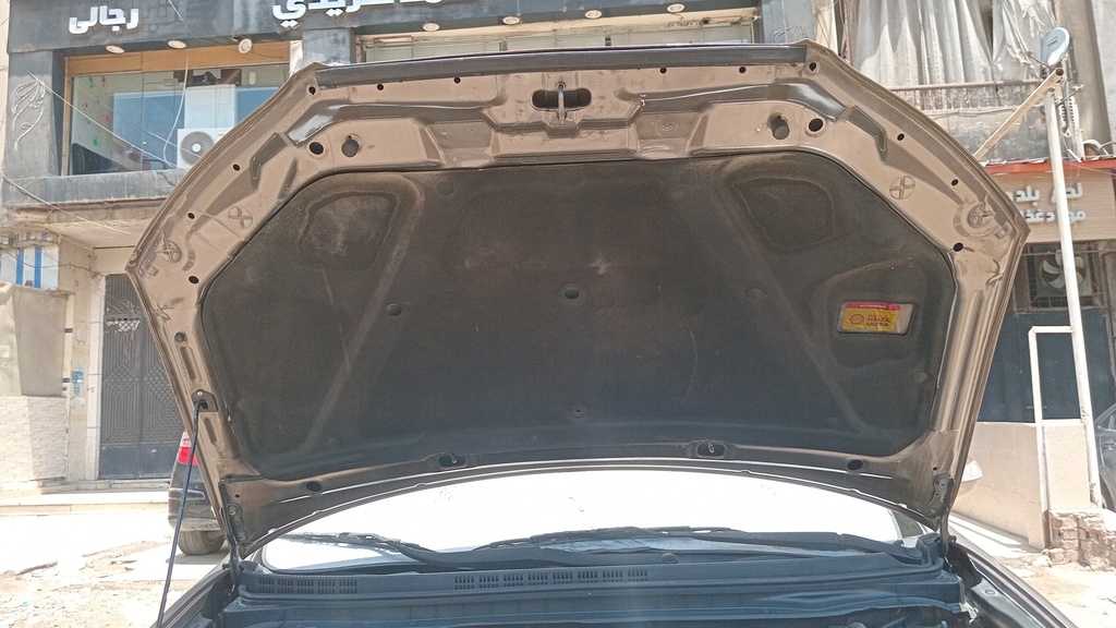 CAR HOOD