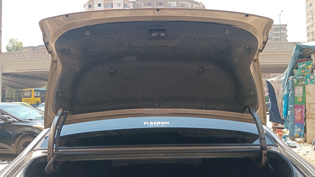 TRUNK HOOD