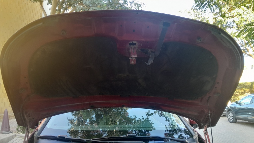 CAR HOOD