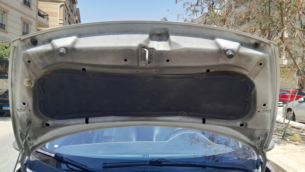 CAR HOOD