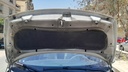 CAR HOOD