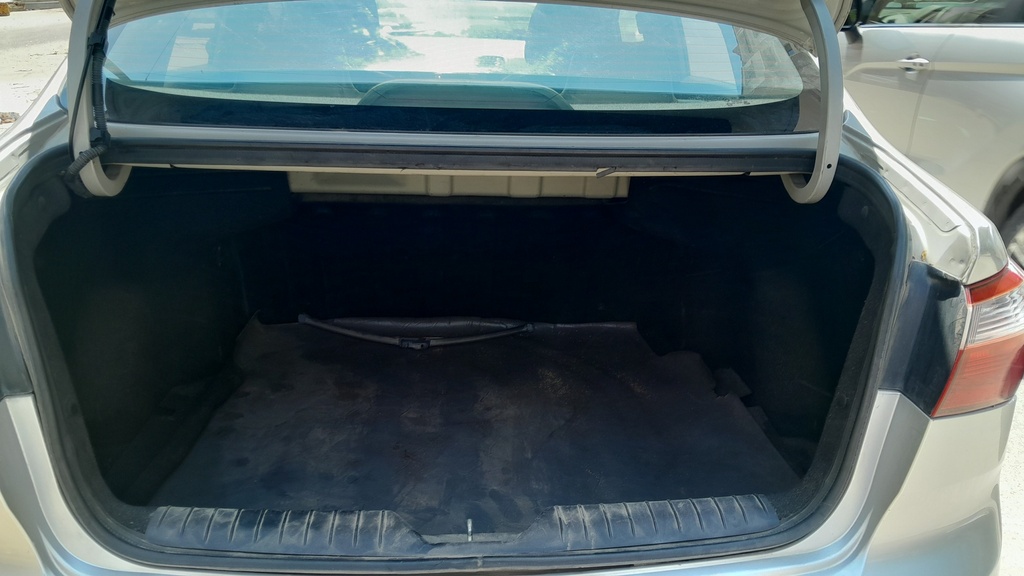 TRUNK
