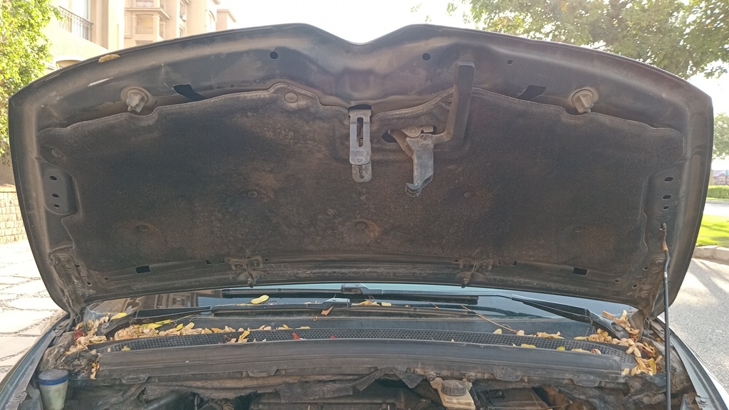 CAR HOOD
