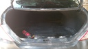 TRUNK