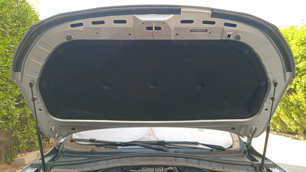 CAR HOOD
