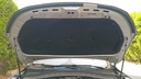 CAR HOOD