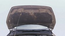 CAR HOOD