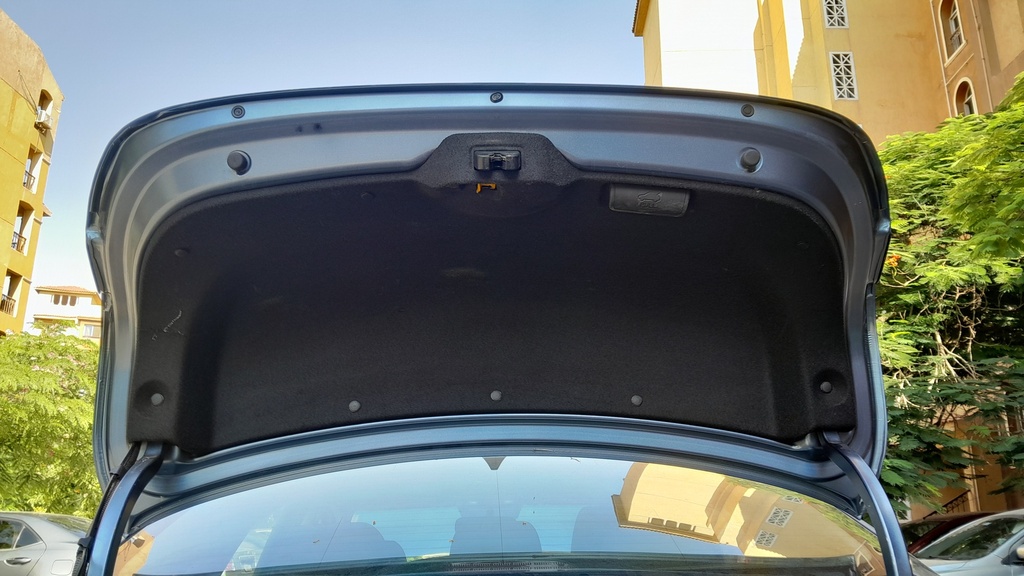 TRUNK HOOD