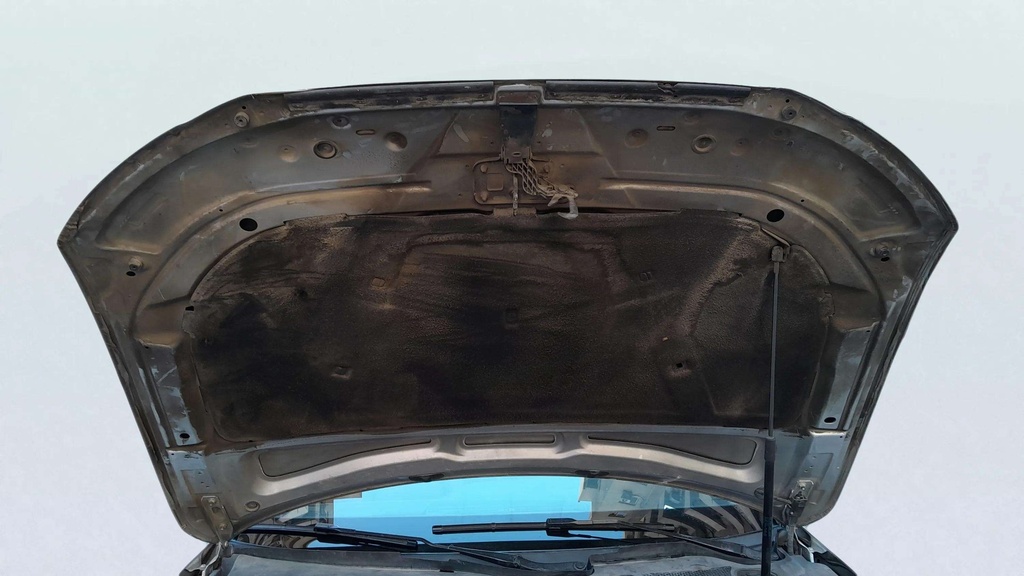 CAR HOOD