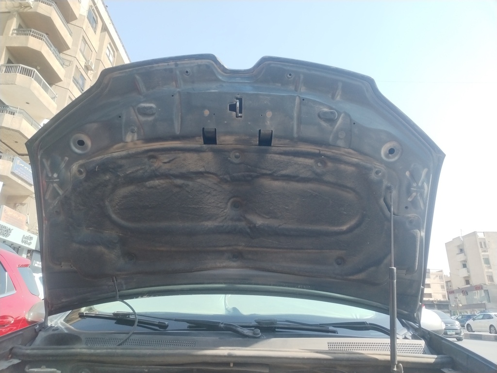 CAR HOOD