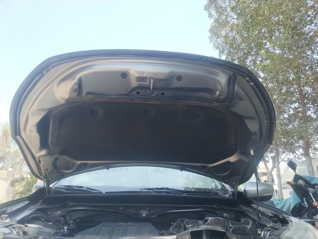 CAR HOOD