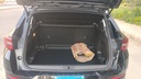 TRUNK