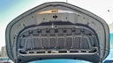 CAR HOOD