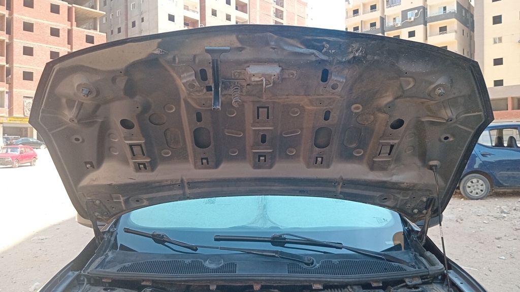 CAR HOOD