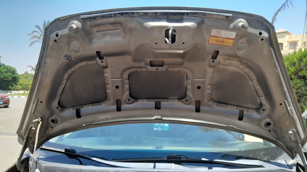 CAR HOOD