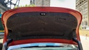 TRUNK HOOD