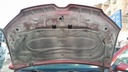 CAR HOOD