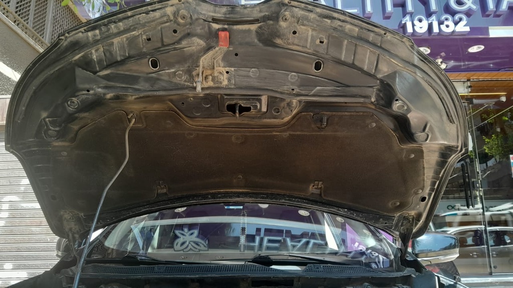 CAR HOOD