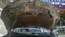 CAR HOOD