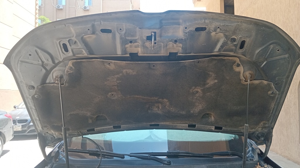 CAR HOOD