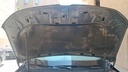 CAR HOOD