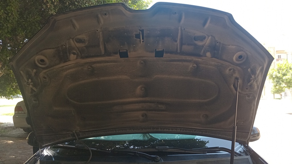 CAR HOOD