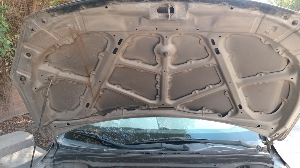 CAR HOOD
