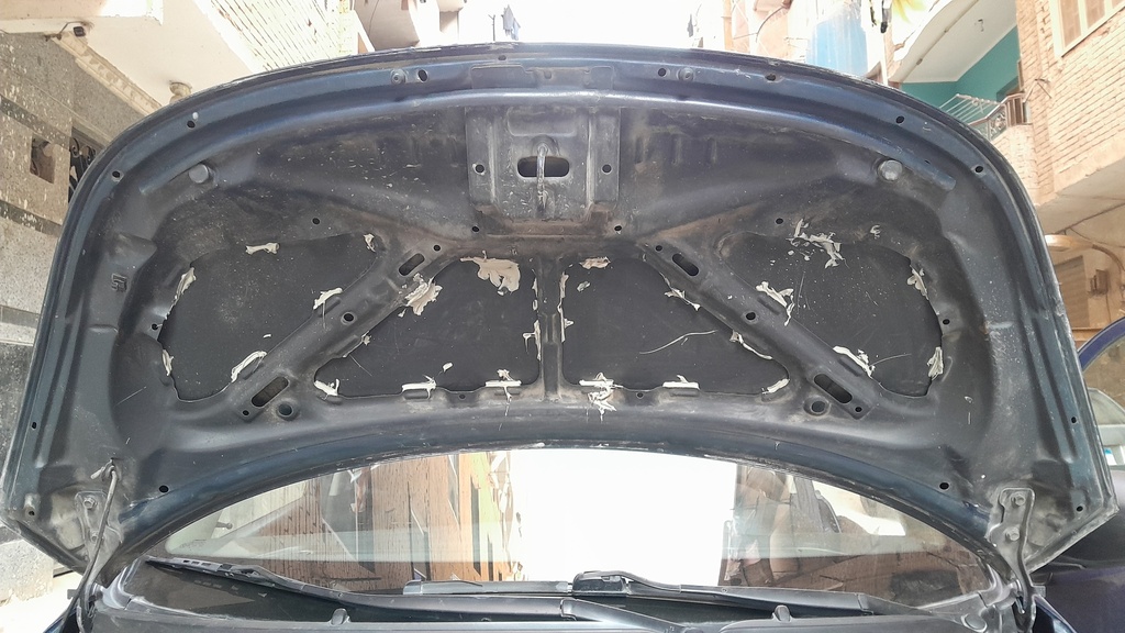 CAR HOOD