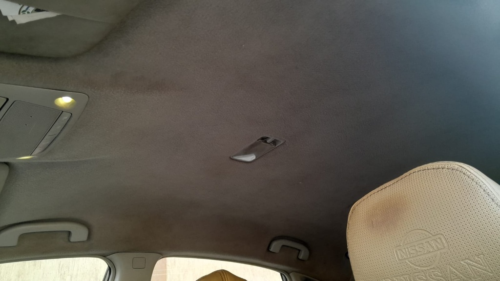 CAR ROOF MAT