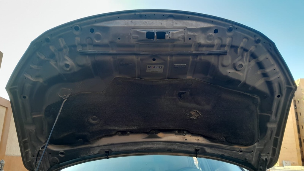 CAR HOOD