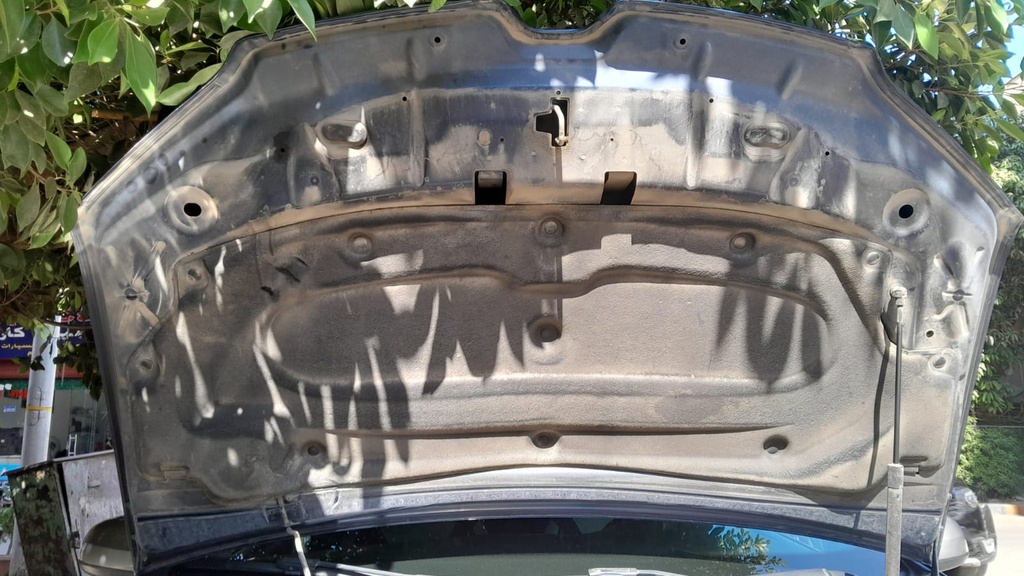 CAR HOOD