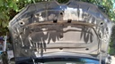 CAR HOOD