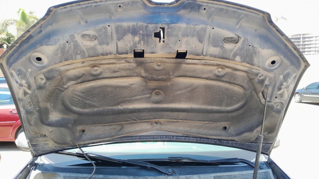 CAR HOOD