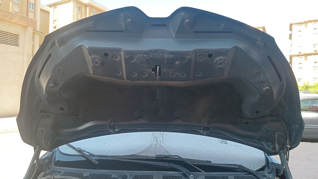 CAR HOOD