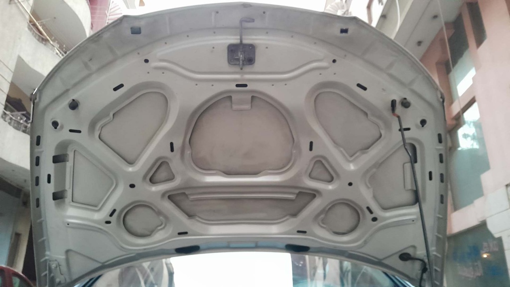 CAR HOOD